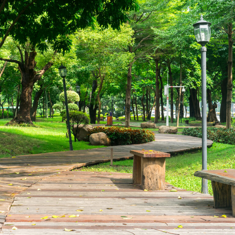 Strona Główna wood chairs in the park