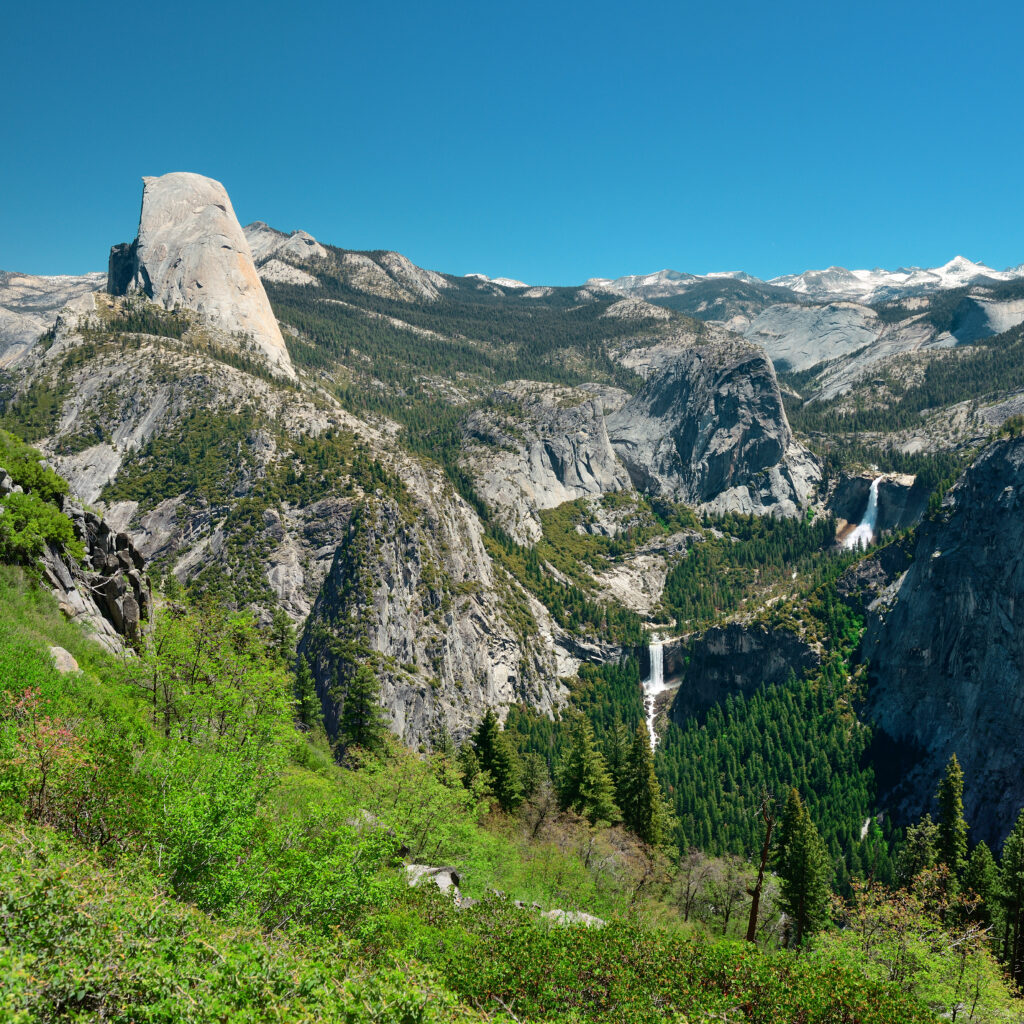 Strona Główna yosemite national park